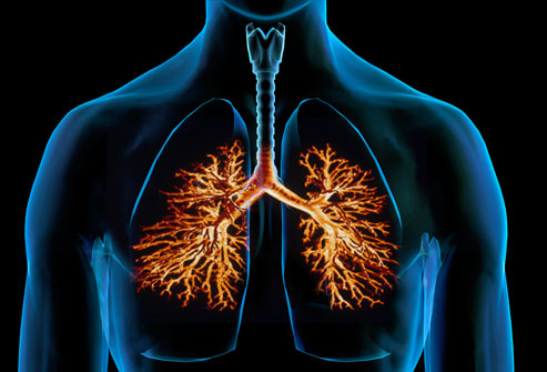 Diseases of the respiratory system 